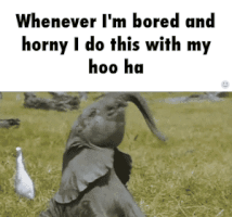 Im Horny GIFs Find Share On GIPHY