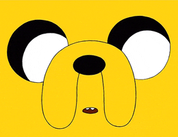  Animated Gif on Giphy