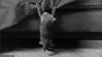 hanging on black and white gif by cheezburger