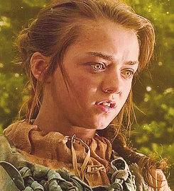 Arya Stark Primogif