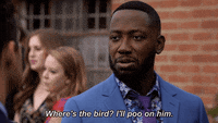 winston bishop gif by new girl
