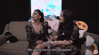 giphy | search all the gifs & make your own