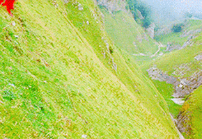 200.gif