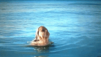 Adriana Lima Model animated GIF