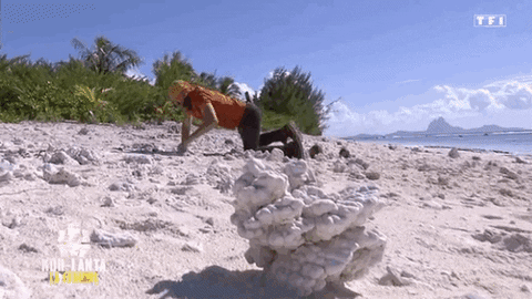 http://media0.giphy.com/media/93woJWAsfWiH3eKbD8/giphy.gif