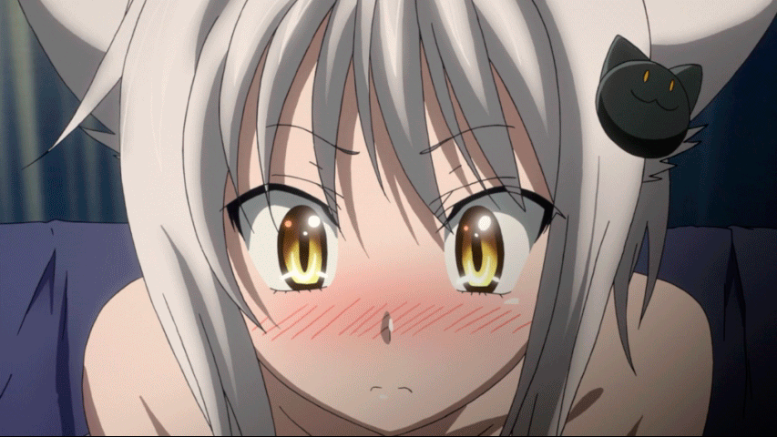 revy gif - find & share on giphy