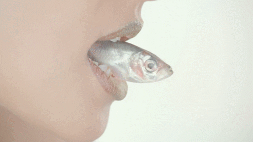 fish animated GIF