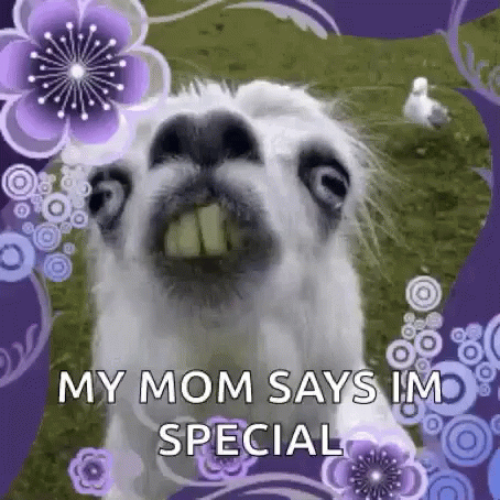 special gif by memecandy