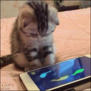 Kitty Looking Up GIF - Kitty Looking Up Cat - Discover & Share GIFs