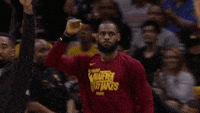 lebron james fist bump gif by nba