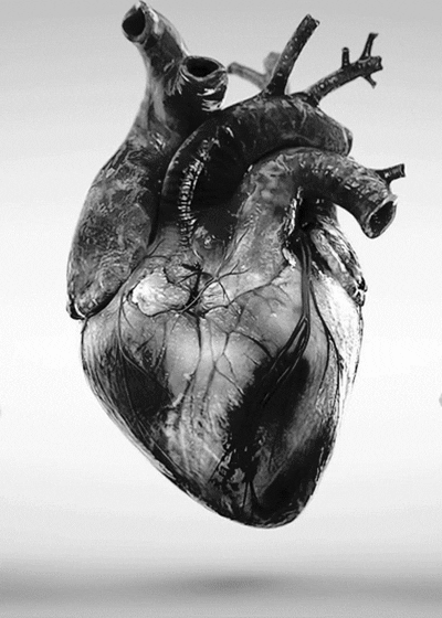 heart lady mac lifestyle
