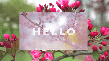Beautiful Flowers animated GIF