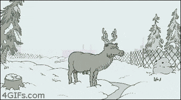 200.gif