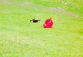 200.gif