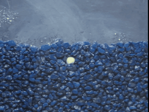 Sit quietly and watch this.