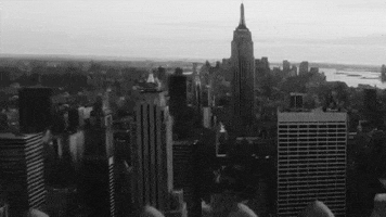 Black And White Empire State Building animated GIF