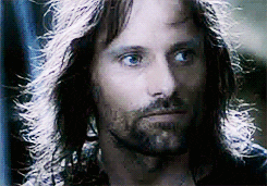 ... the rings lord of the rings orlando bloom viggo mortensen animated GIF