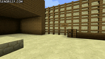 Minecraft Nope animated GIF