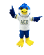 AceAcumenHeights