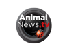 AnimalNewsTV