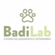 BadiLab