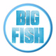 BigFishUSA