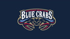 BlueCrabs