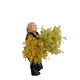 Blushandbloom