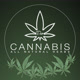 Cannabis_stores