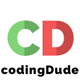 Coding-Dude