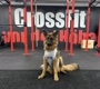 Crossfitvdh