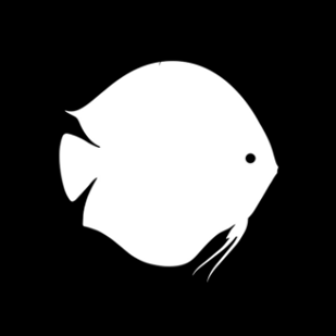 Giphy profile picture for @Discus