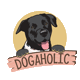 Dogaholic_Panama
