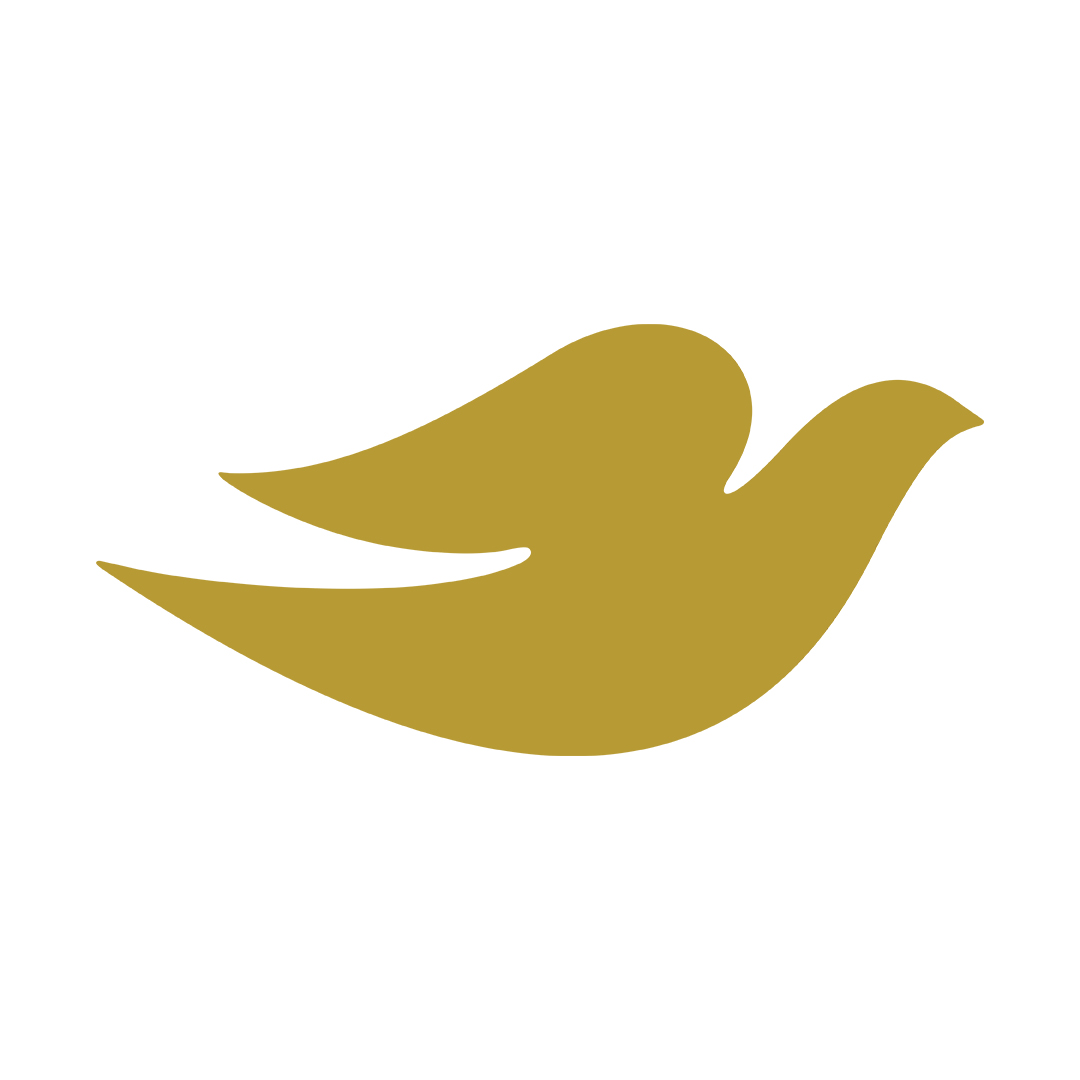 Giphy profile picture for @Dove