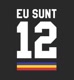 EuSunt12