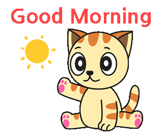 Funny cat good morning gif