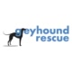 GreyhoundRescue