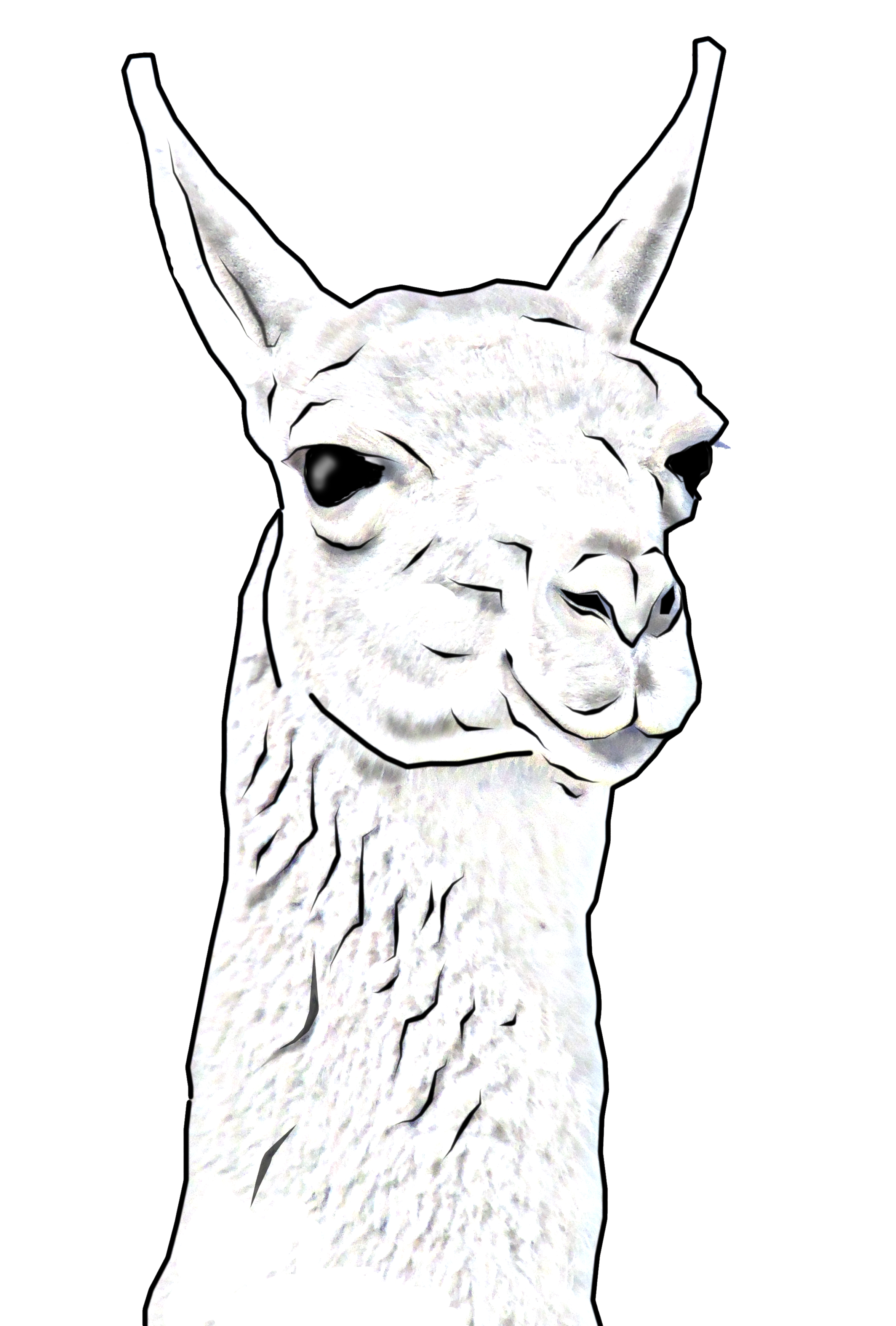 gif de llamas verdes