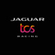 Jaguar TCS Racing Avatar