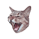 Kycalone
