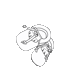 Minimonelli