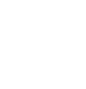 Nucleo-choro