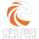 OPS_STORE