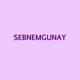 Sebnemgunay