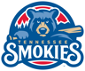 SmokiesBaseball