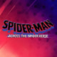 Spider-Man: Across The Spider-Verse Avatar