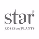 Starrosesandplants