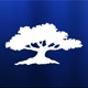 TFCcommunications