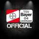 TSVBayer04