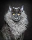 Cats_Puppies_Tatin7